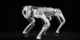 Quadruped robot